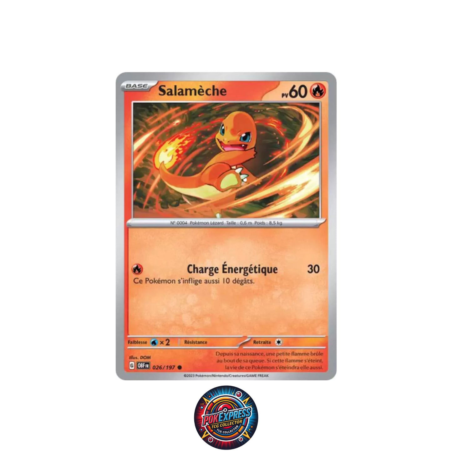 Coffret Premium Dracaufeu EX - Écarlate et Violet EV3 FR